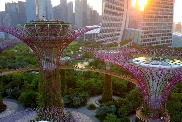 Video Production Portfolio Perth WA