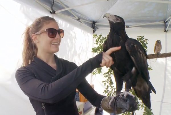 Whiteman Park – EnviroFEST