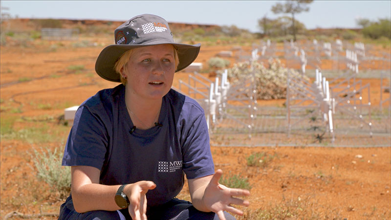 Interview with Kim Steele