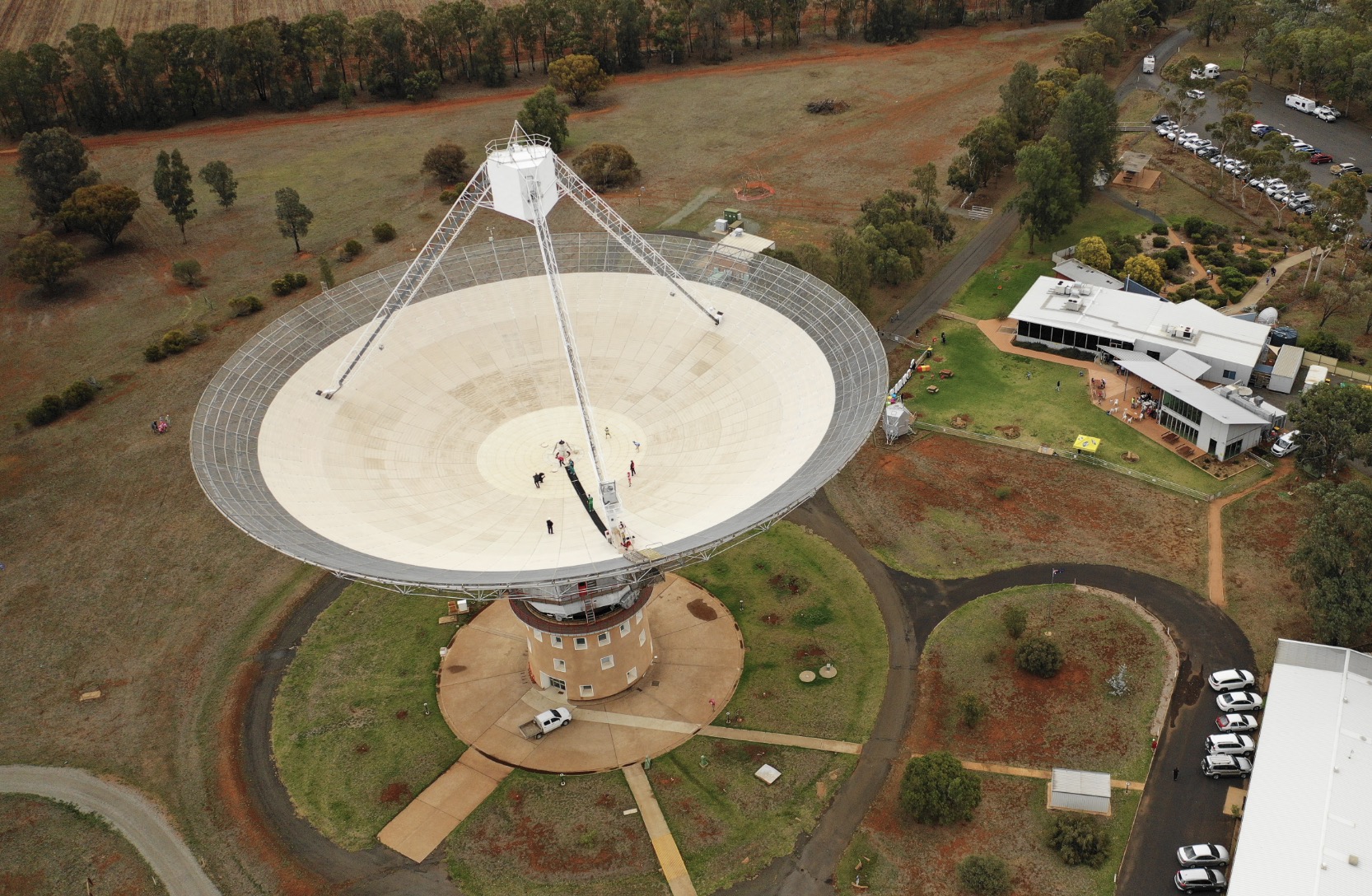 Flying High – Woolworths Cricket Bash!